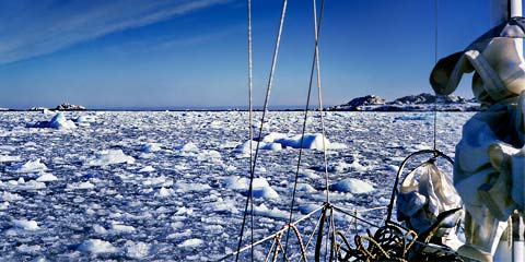 南極の氷原