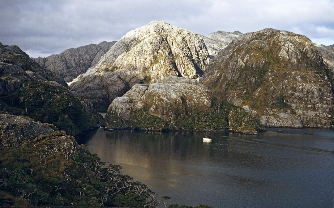 Caleta Brecknock, Seno Ocasion