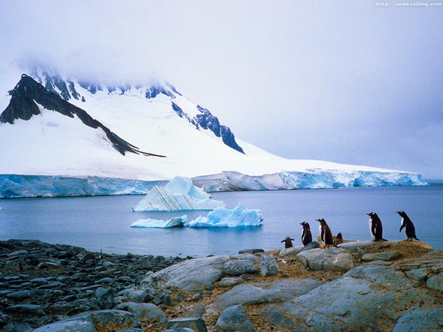 ヨットで訪れた南極の風景写真