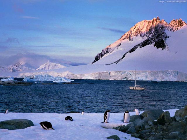 ヨットで訪れた南極の風景写真