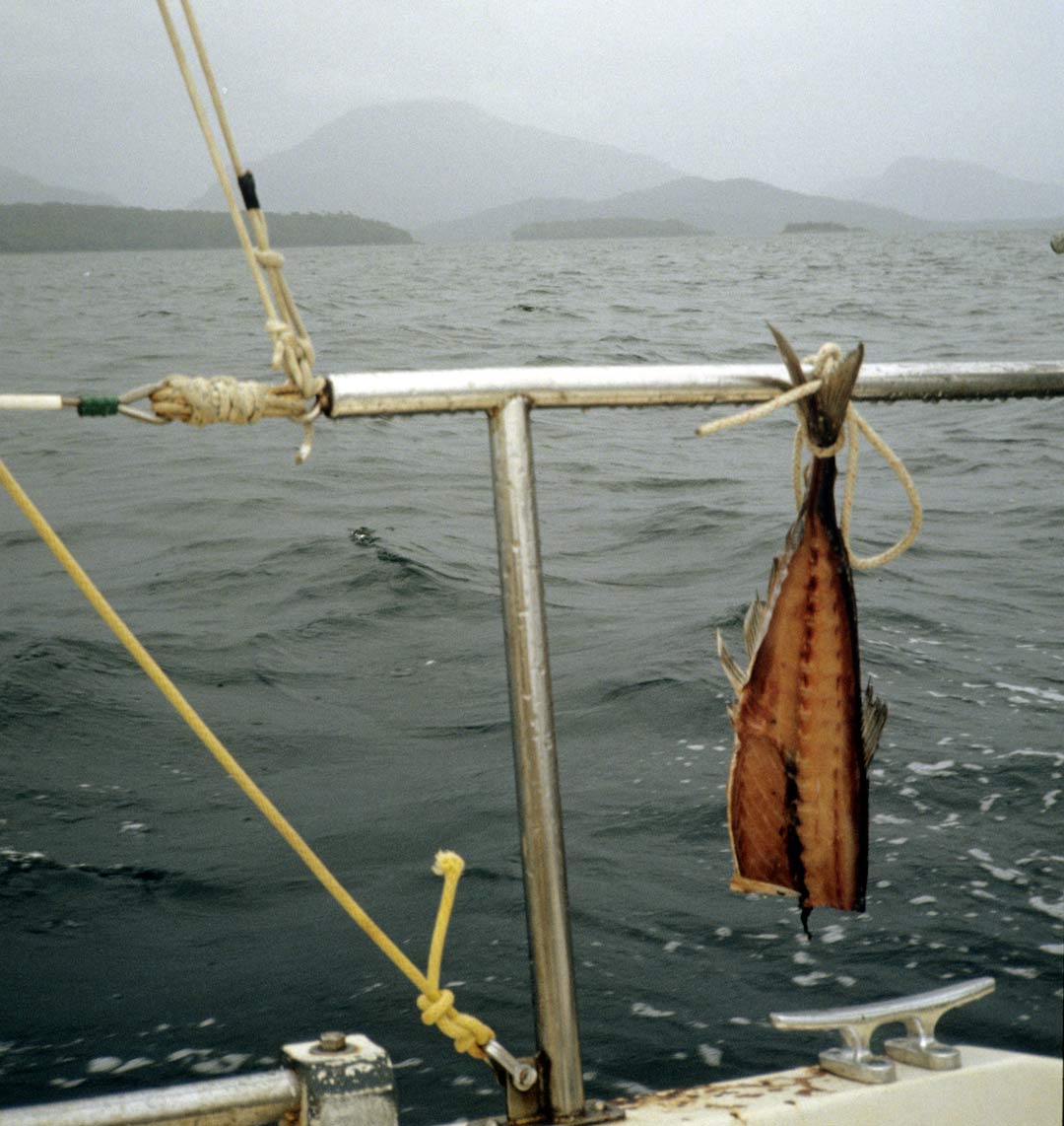 fishing in patagonia