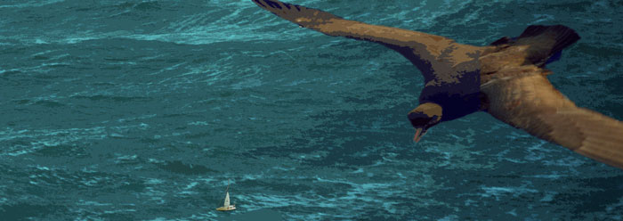 a sailboat and a bird at storm sea